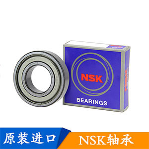 NSK進口軸承 R8ZZ